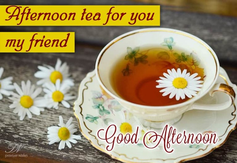 Good Afternoon Wishes