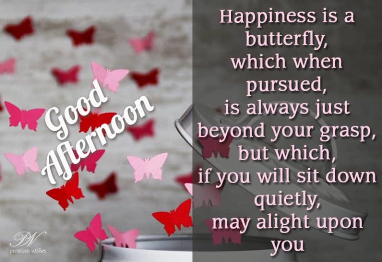Good Afternoon Wishes