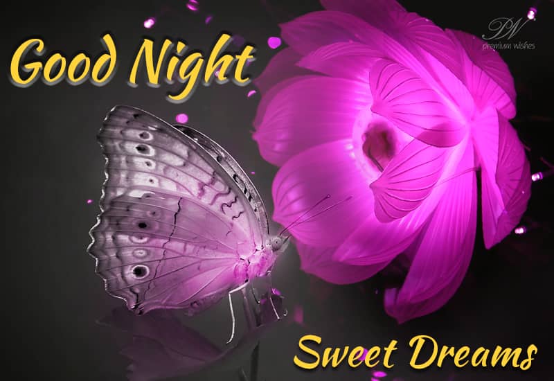 Good Night Sweet Dreams Wishes