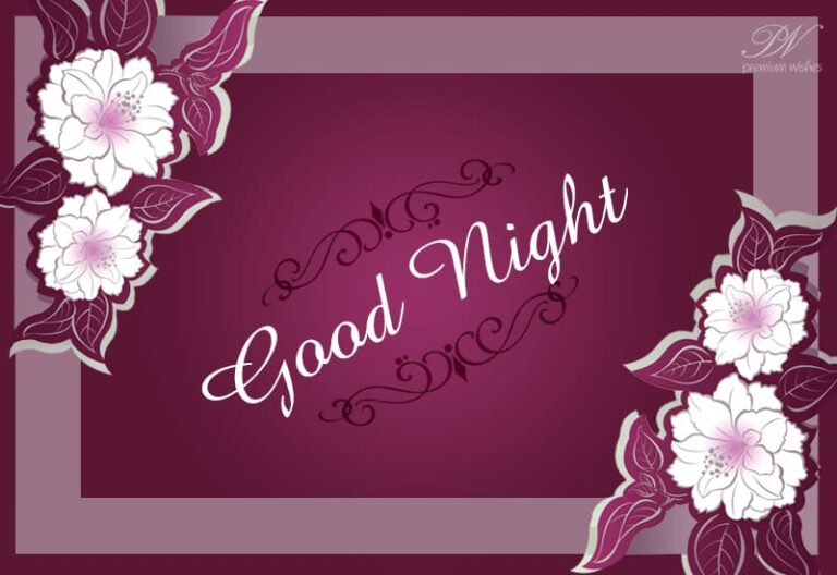 Good Night Wishes