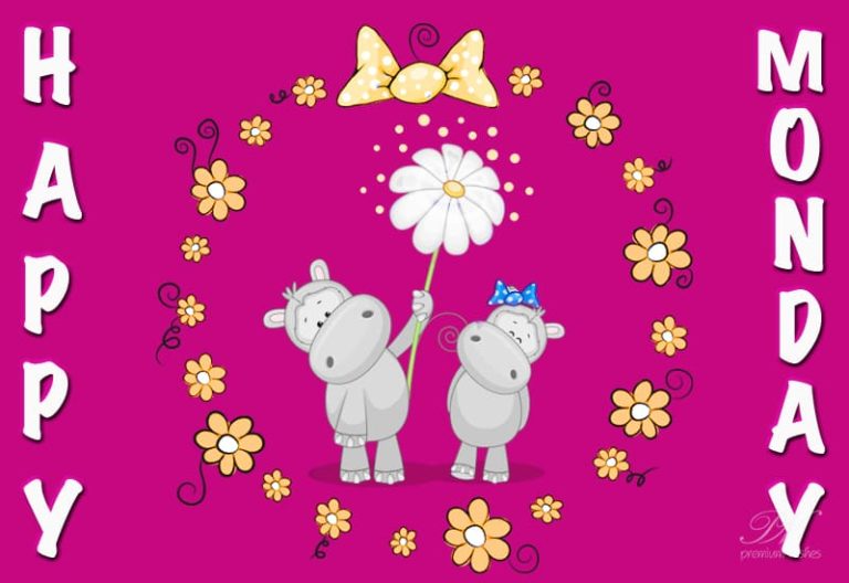 Happy Monday – Start the week on a positive note