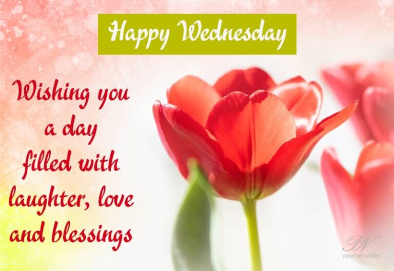 Happy Wednesday – Have a day filled with love and blessings Happy Wednesday – Have a day filled with love and blessings