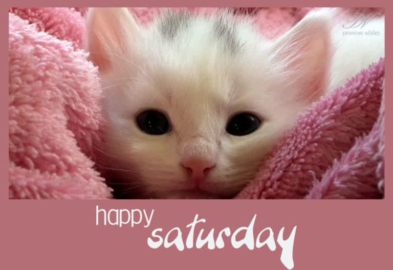 Happy Saturday Dear Friends