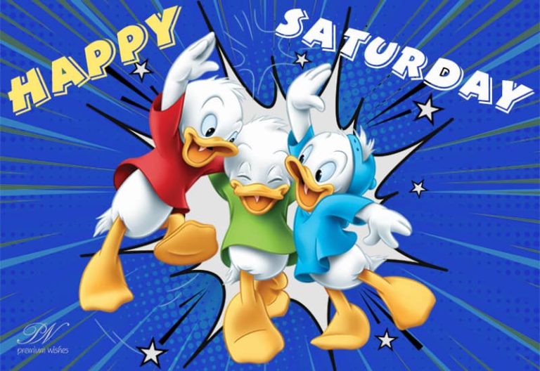 Happy Saturday – Enjoying the party?