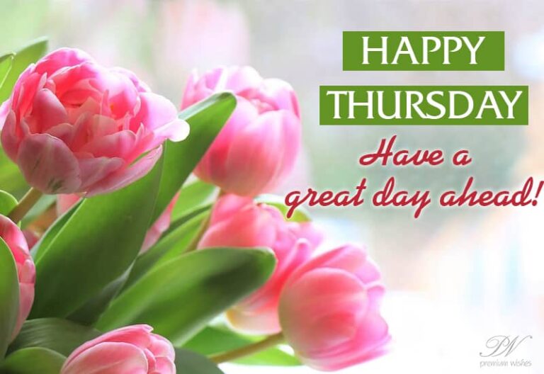 Have a great Thursday ahead