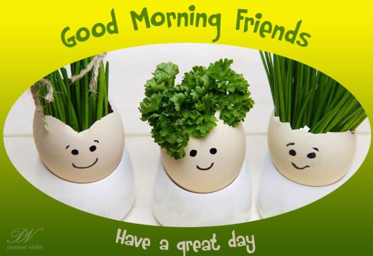Gooood Morning Friends
