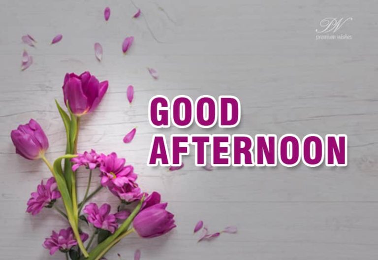 Good Afternoon Wishes