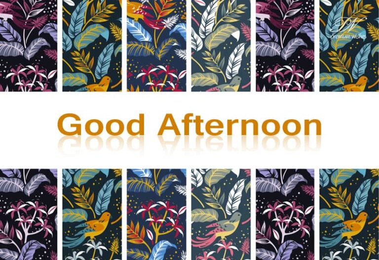 Good Afternoon Wishes