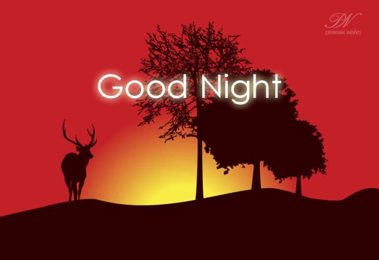 Good Night Wishes