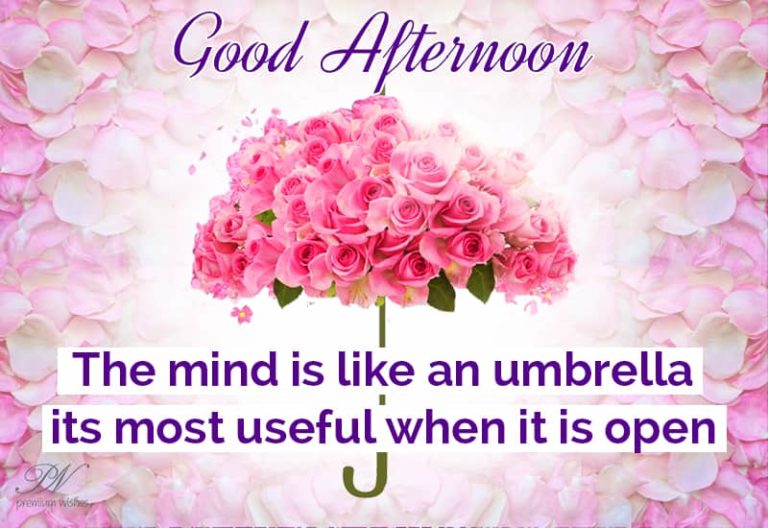 Good Afternoon Wishes