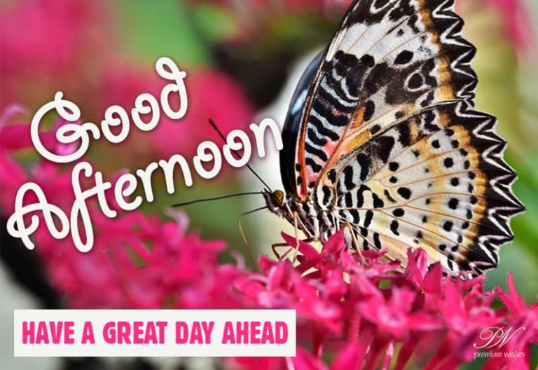 Good Afternoon Wishes