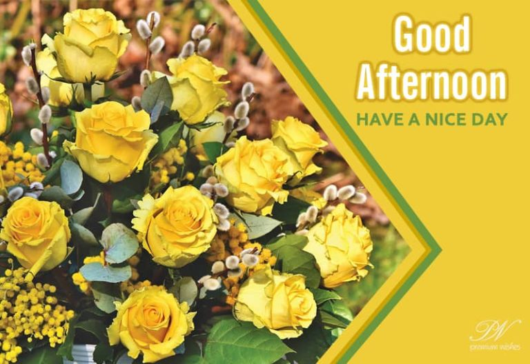 Good Afternoon Wishes