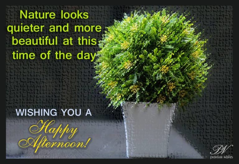 Good Afternoon Wishes