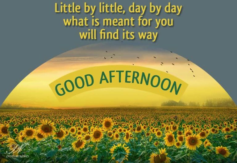 Good Afternoon Wishes