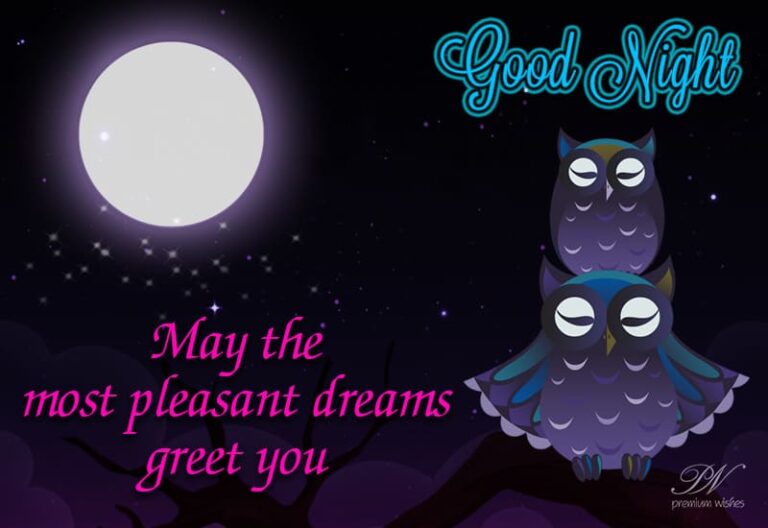 Good Night Wishes