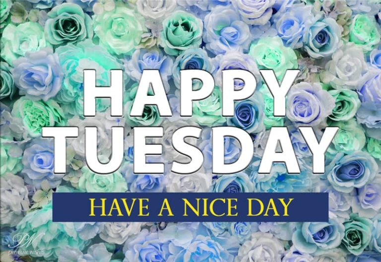 Happy Tuesday – Have a great and nice day ahead