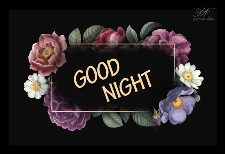 Good Night Wishes