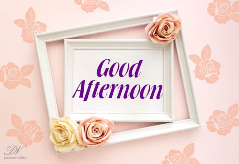 Good Afternoon Wishes