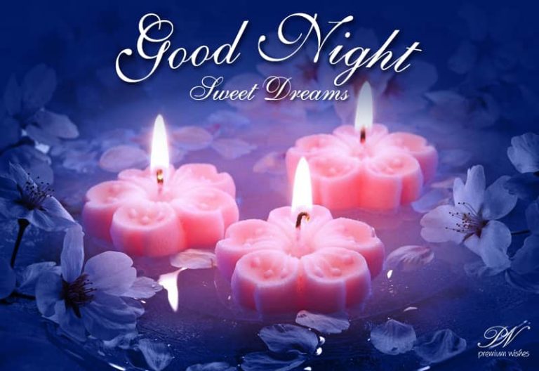 Good Night Wishes