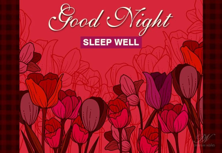 Good Night Wishes
