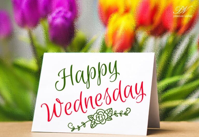 Hap Happy Wednesday Friends