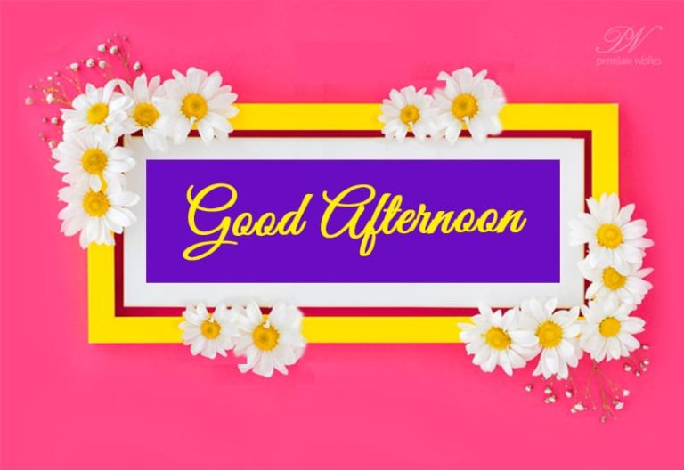 Good Afternoon Wishes