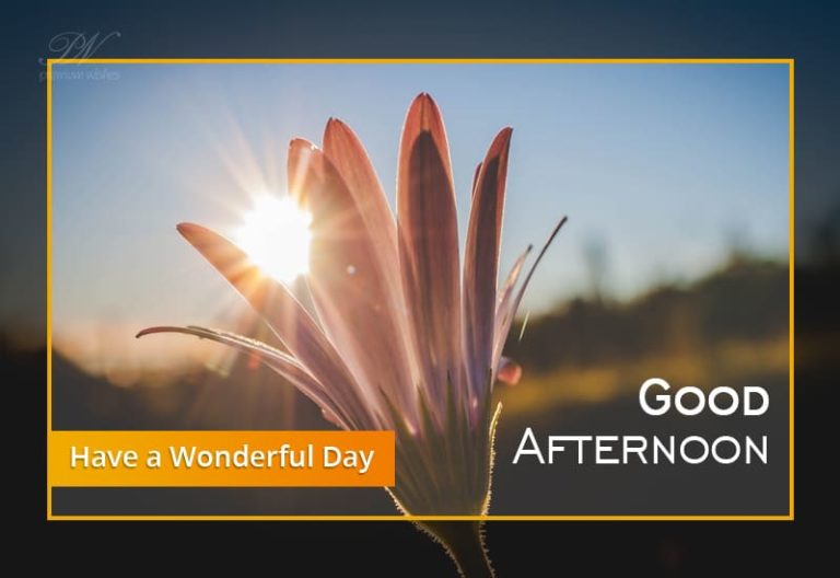 Good Afternoon Wishes