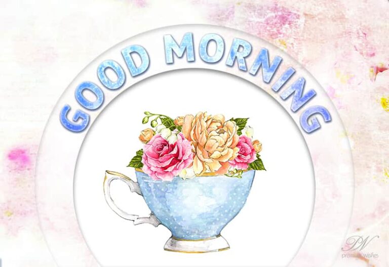 Have a nice and wonderful Wednesday