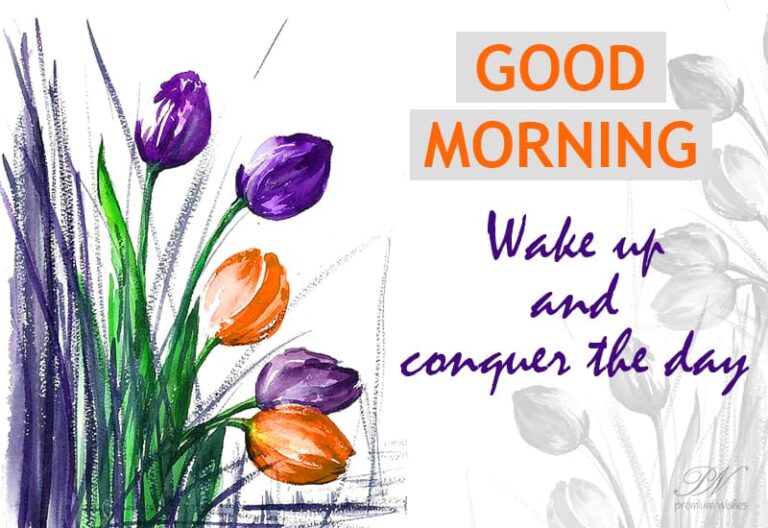 Good Morning – Wake up and conquer the day