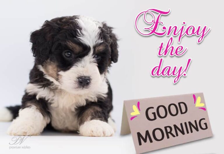 Enjoy the Day – Good Morning