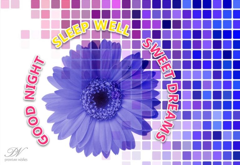 Good Night Wishes