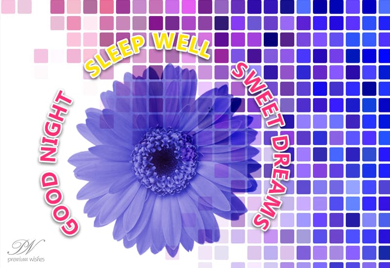 Good Night Sweet Dreams Wishes