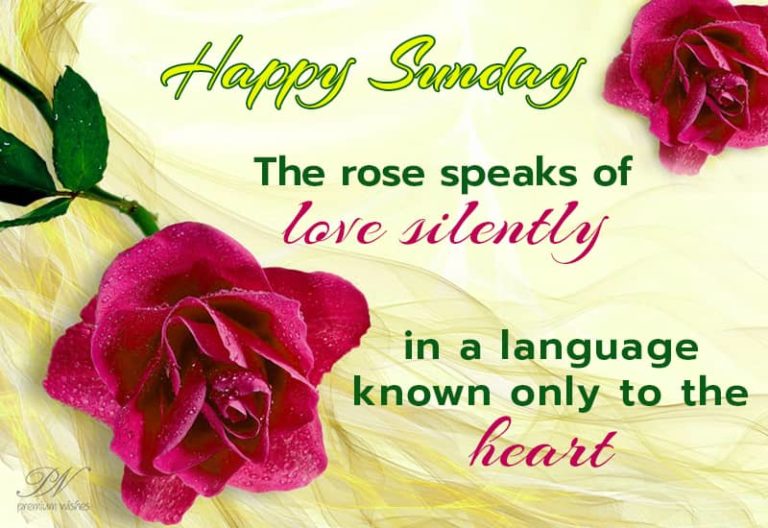 Happy Sunday Rose – It speaks of love silently