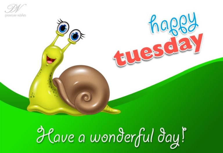 Have a nice Tuesday ahead