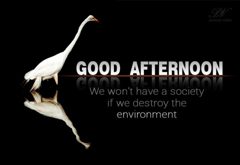 Good Afternoon Wishes