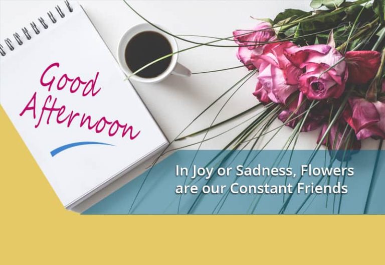 Good Afternoon Wishes