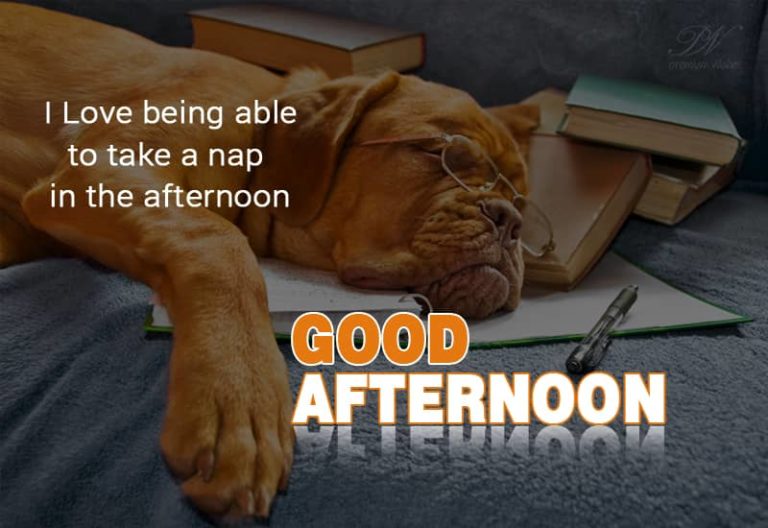 Good Afternoon Wishes