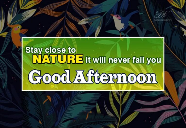 Good Afternoon Wishes