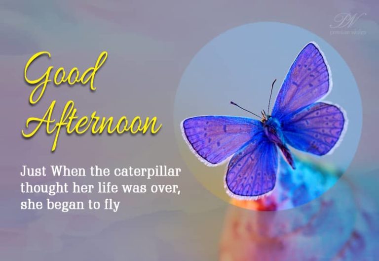 Good Afternoon Wishes