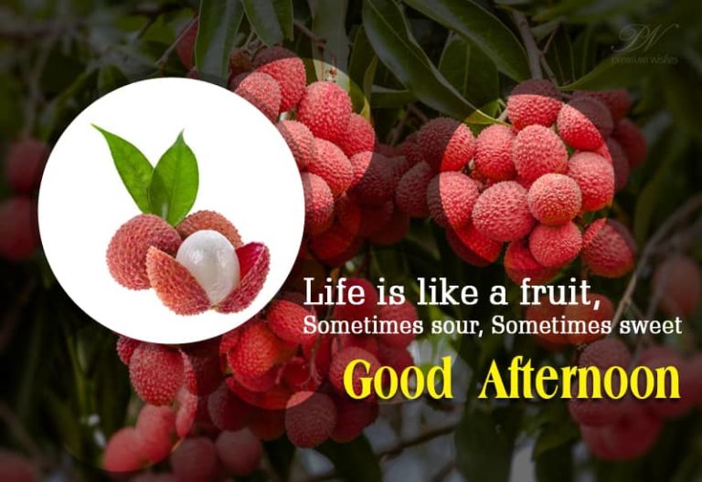 Good Afternoon Wishes