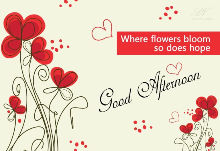 Good Afternoon Wishes