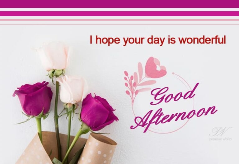 Good Afternoon Wishes
