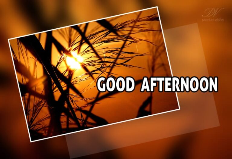 Good Afternoon Wishes