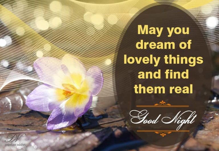 Good Night Wishes