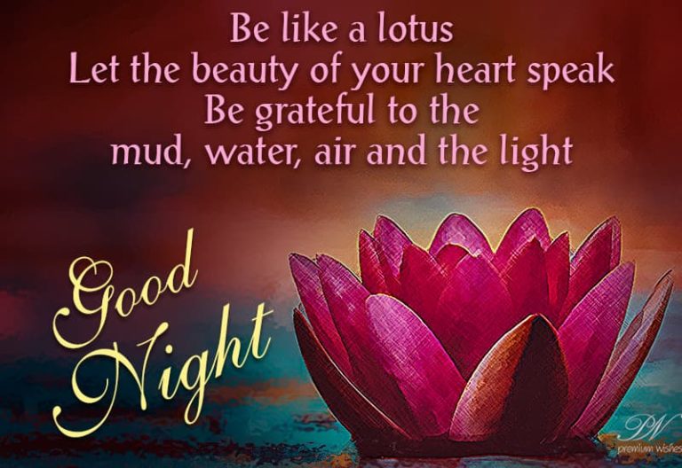 Good Night Wishes