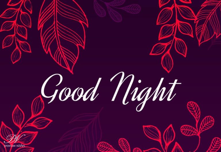 Good Night Wishes