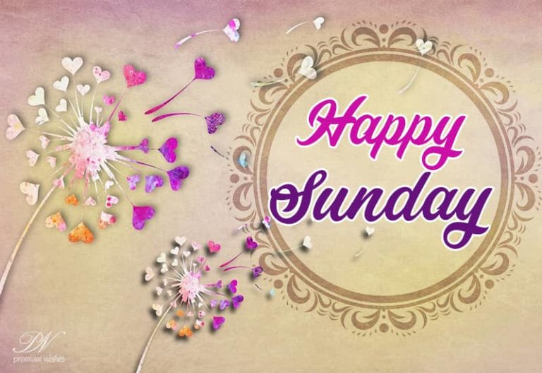 Happy Sunday – Enjoy!