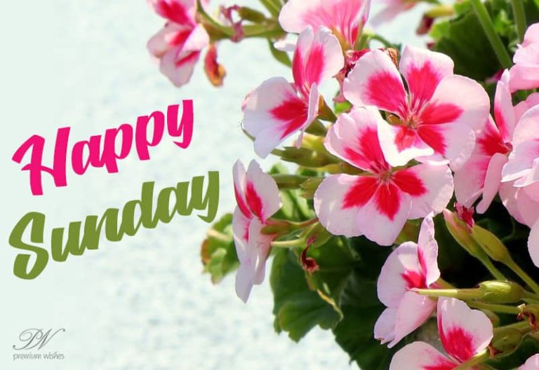 Happy Sunday – Just relax!