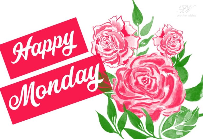 Have a happy and great Monday Have a happy and great Monday