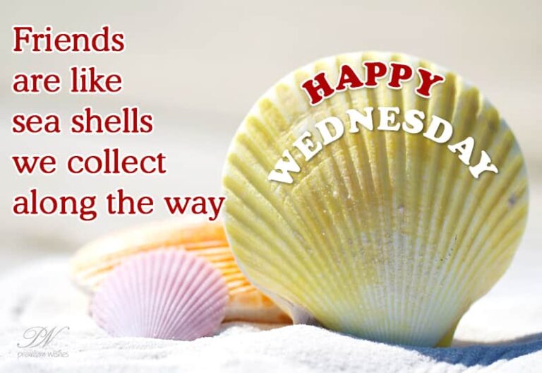 Happy Wednesday – Collect friends along the way